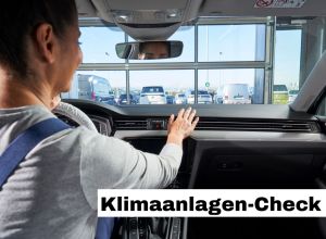 Klimaanlagen-Check