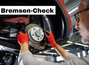 Bremsen-Check